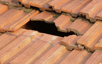 roof repair Pleshey, Essex